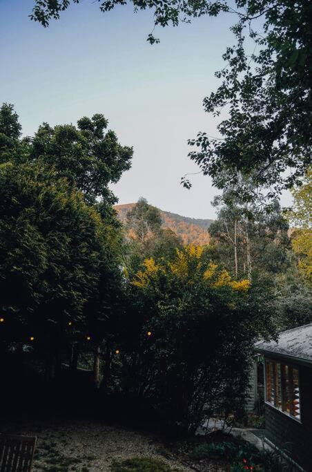 Harrys House Warburton - Peaceful Riverside Cottage In The Perfect Location Exterior foto