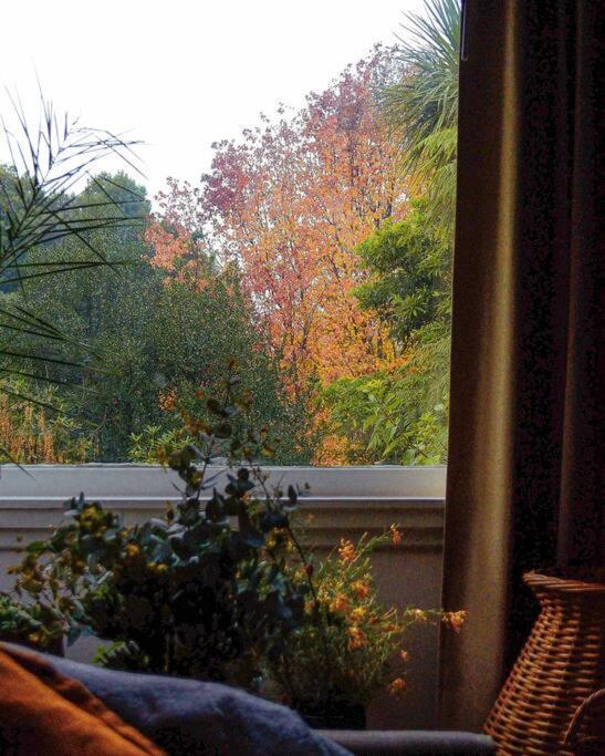 Harrys House Warburton - Peaceful Riverside Cottage In The Perfect Location Exterior foto